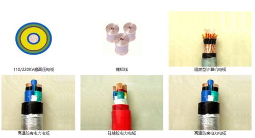 山東智造 綠色創(chuàng)新驚艷全球，環(huán)保產(chǎn)品引領(lǐng)未來市場